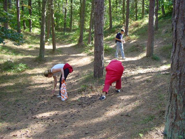 dsc00606 (small).jpg